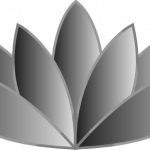 gray-lotus-flower-hi gray-lotus-flower-hi